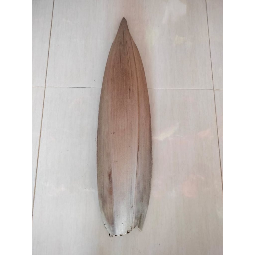 mancung reog/hidung reog