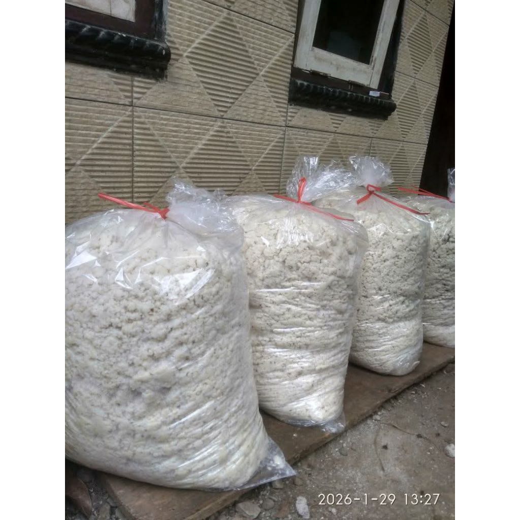 ampas tahu mamel/semi kering harga perkilo