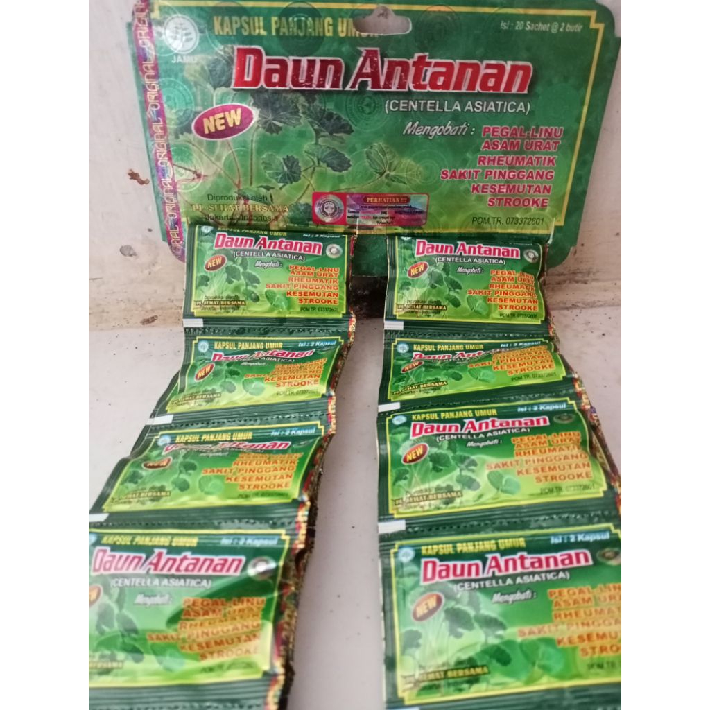 DAUN ANTANAN ORIGINAL KAPSUL