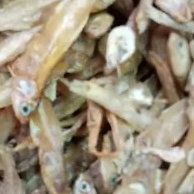 Ikan Teri tawar padang 100g