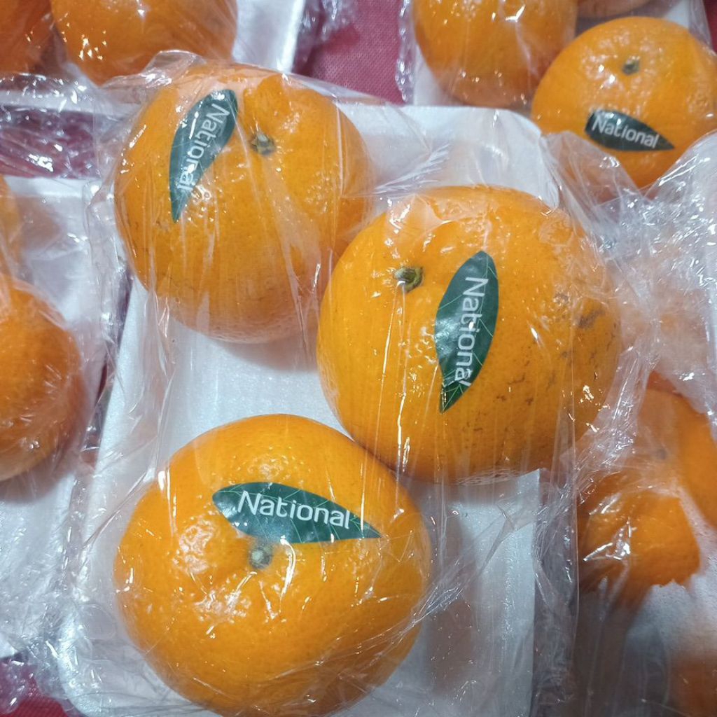 Promo jeruk kino mandarin (isi 3)