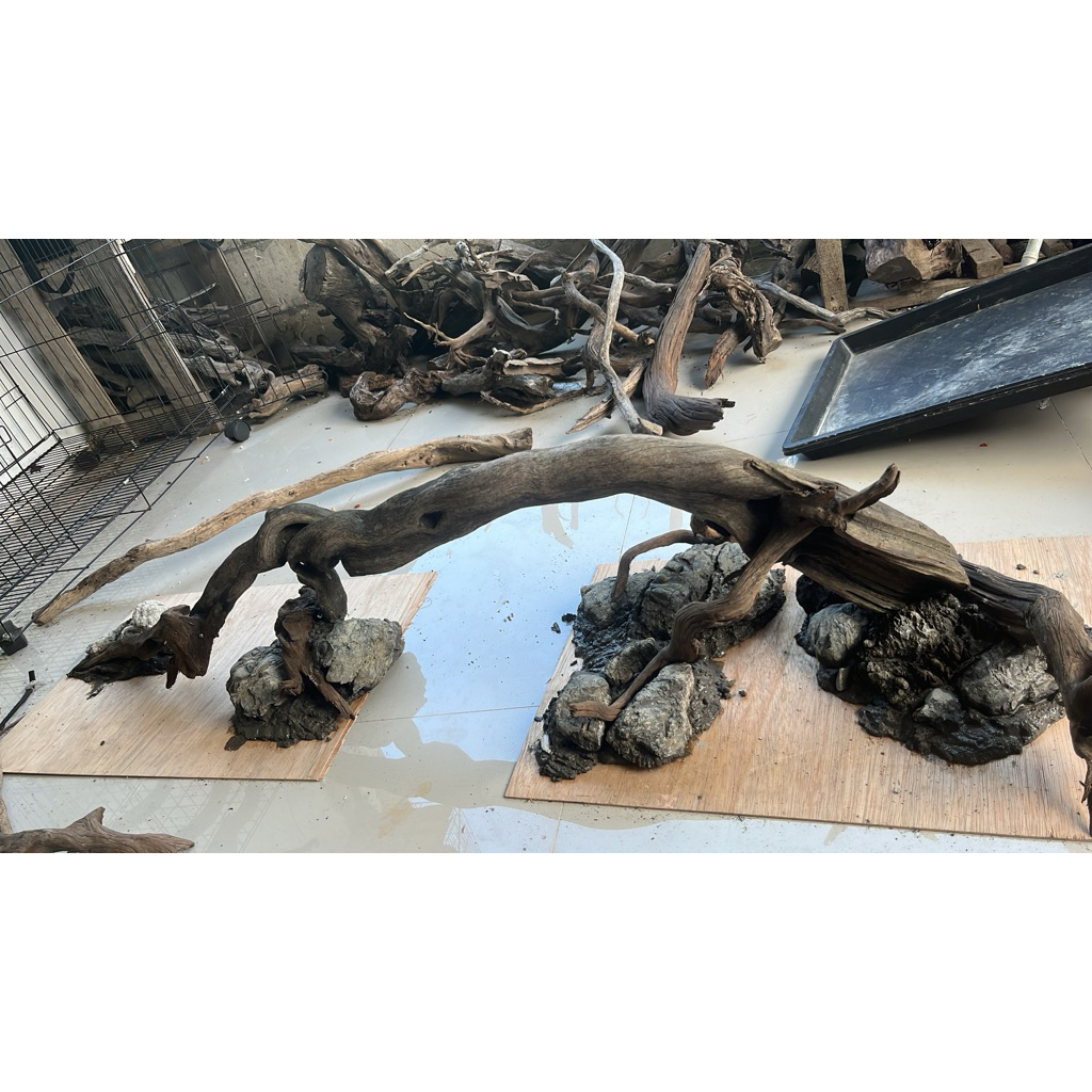 kayu santigi laut aquascape tenggelam JUMBO SIZE berat >10kg