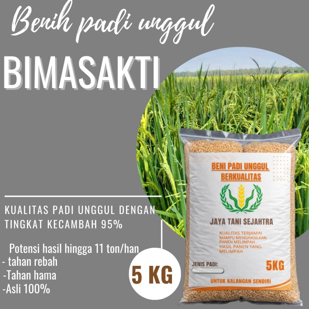 BENIH PADI BIMA SAKTI 5KG