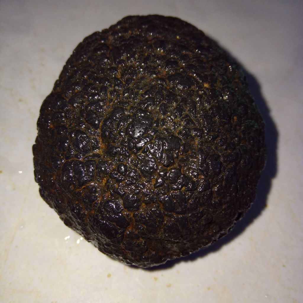 Original Batu Satam Big Size / Ukuran Jumbo