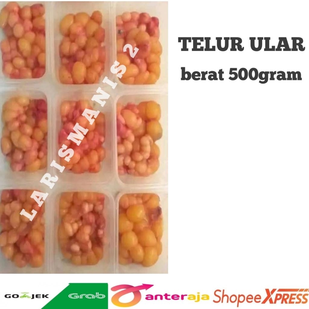 telur ular kadut