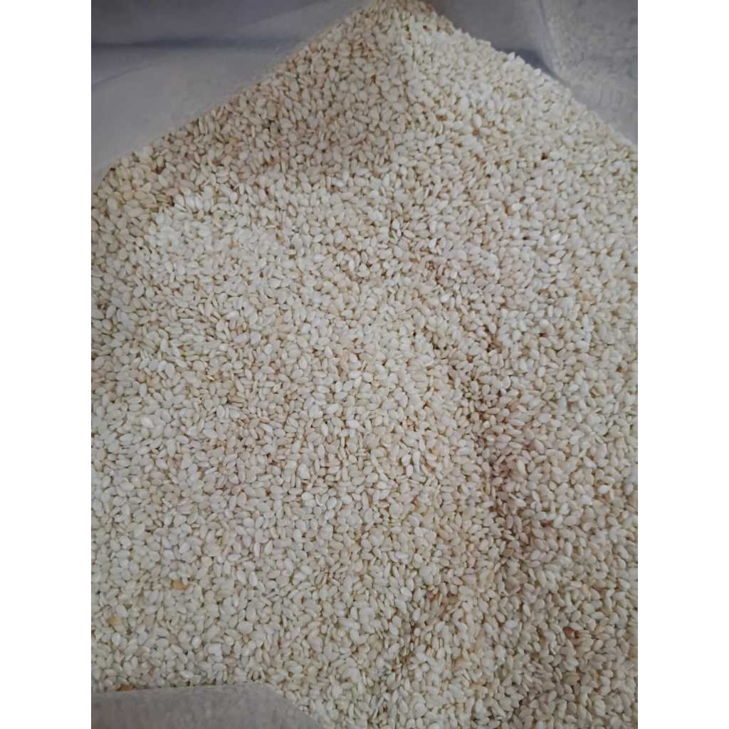 (Cargo) Wijen Putih 25 kg