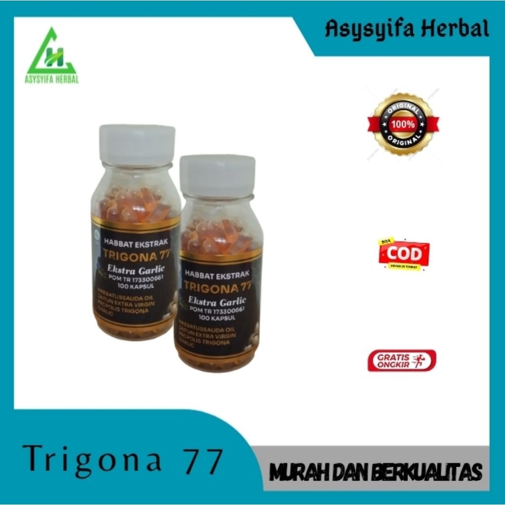 Trigona 77