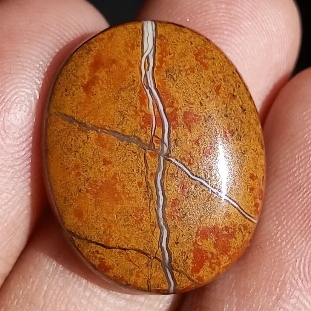 Tapak jalak badar asem