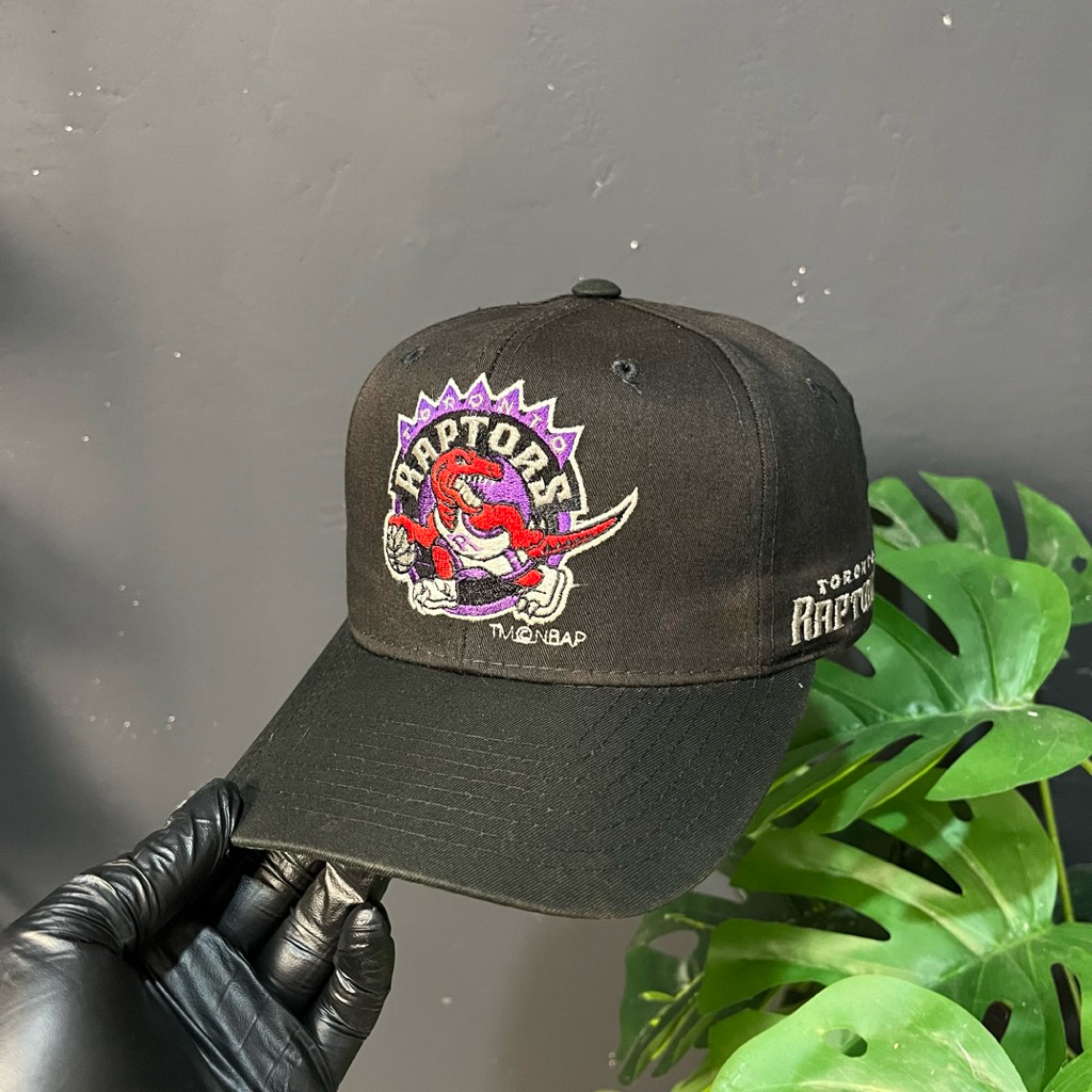 Topi toronto raptors by starter