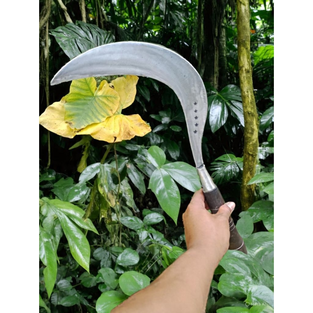 COD Arit rumput bintang lima madura super tajam