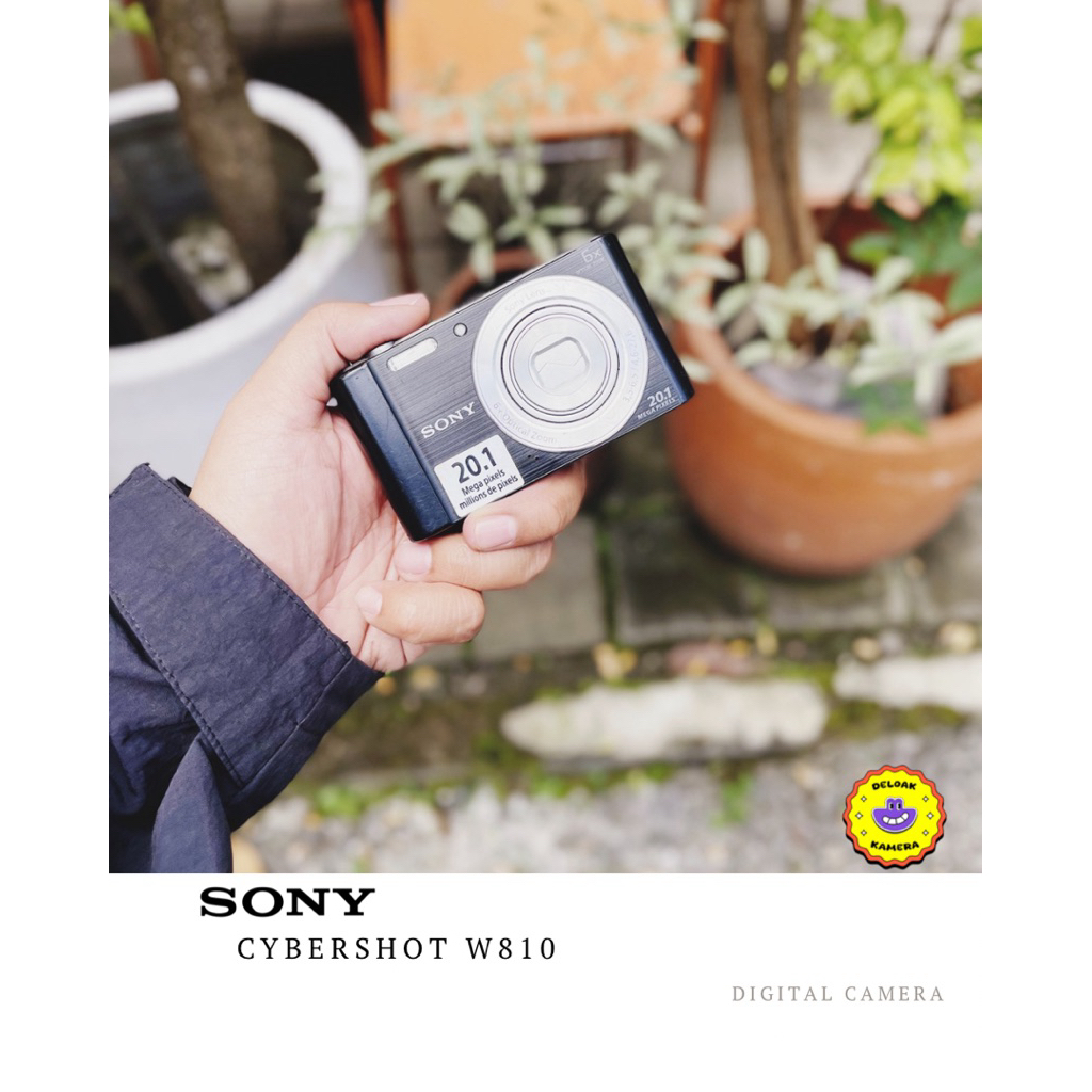 Kamera digital digicam Sony Cybershot W810