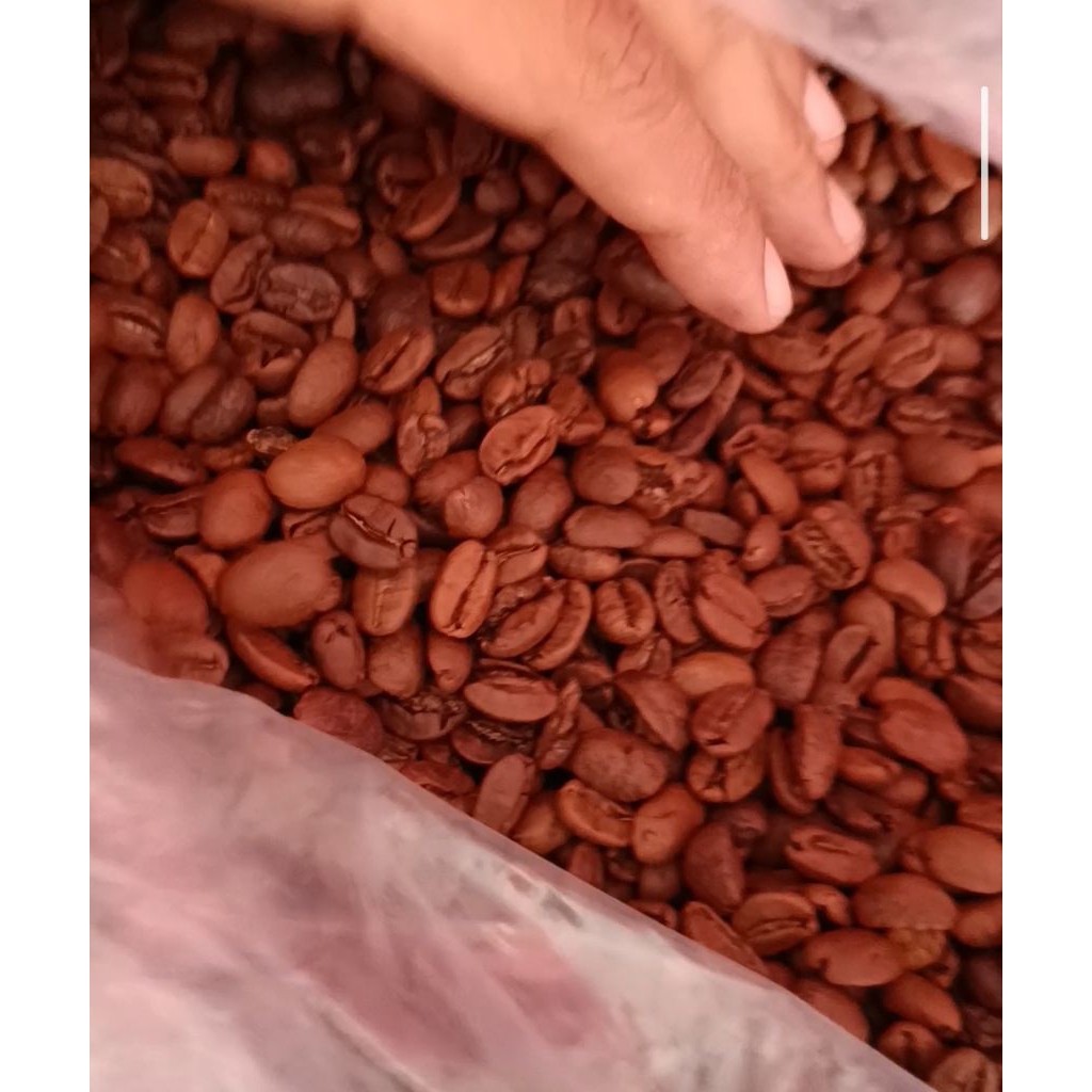 Kopi Arabika Gayo 250 gr