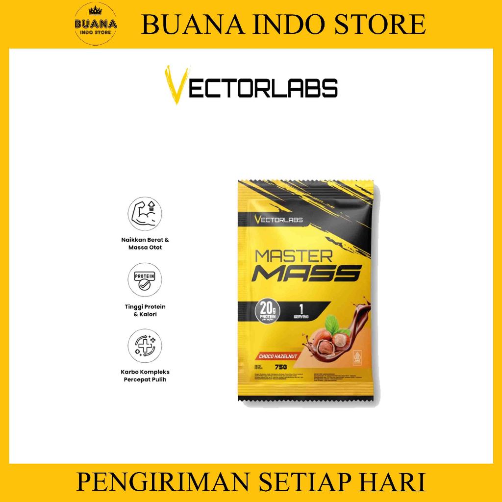 VECTORLABS Master Mass 1 Sachet 75 Gram - Weight Gainer Protein Saset