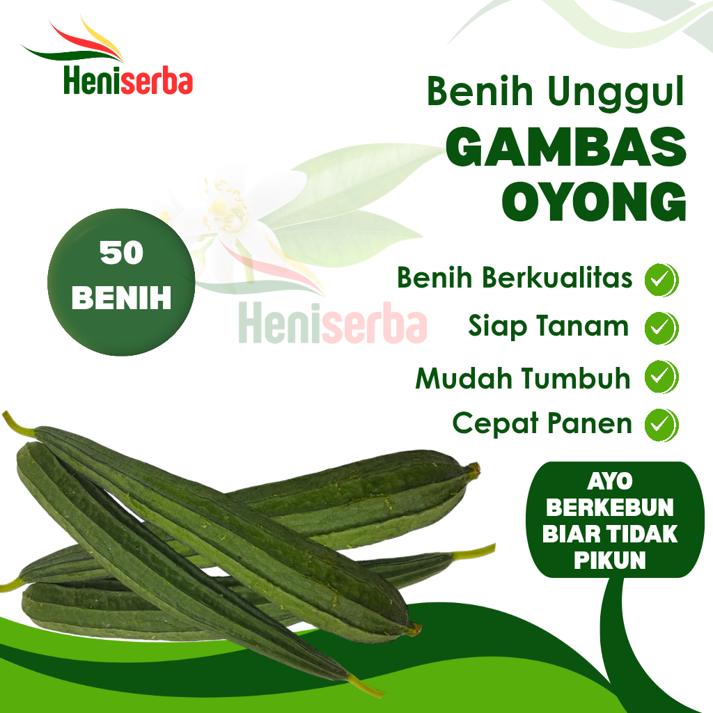 Benih Gambas Panjang Bibit Sayur Oyong Mudah Tumbuh isi 50 Biji