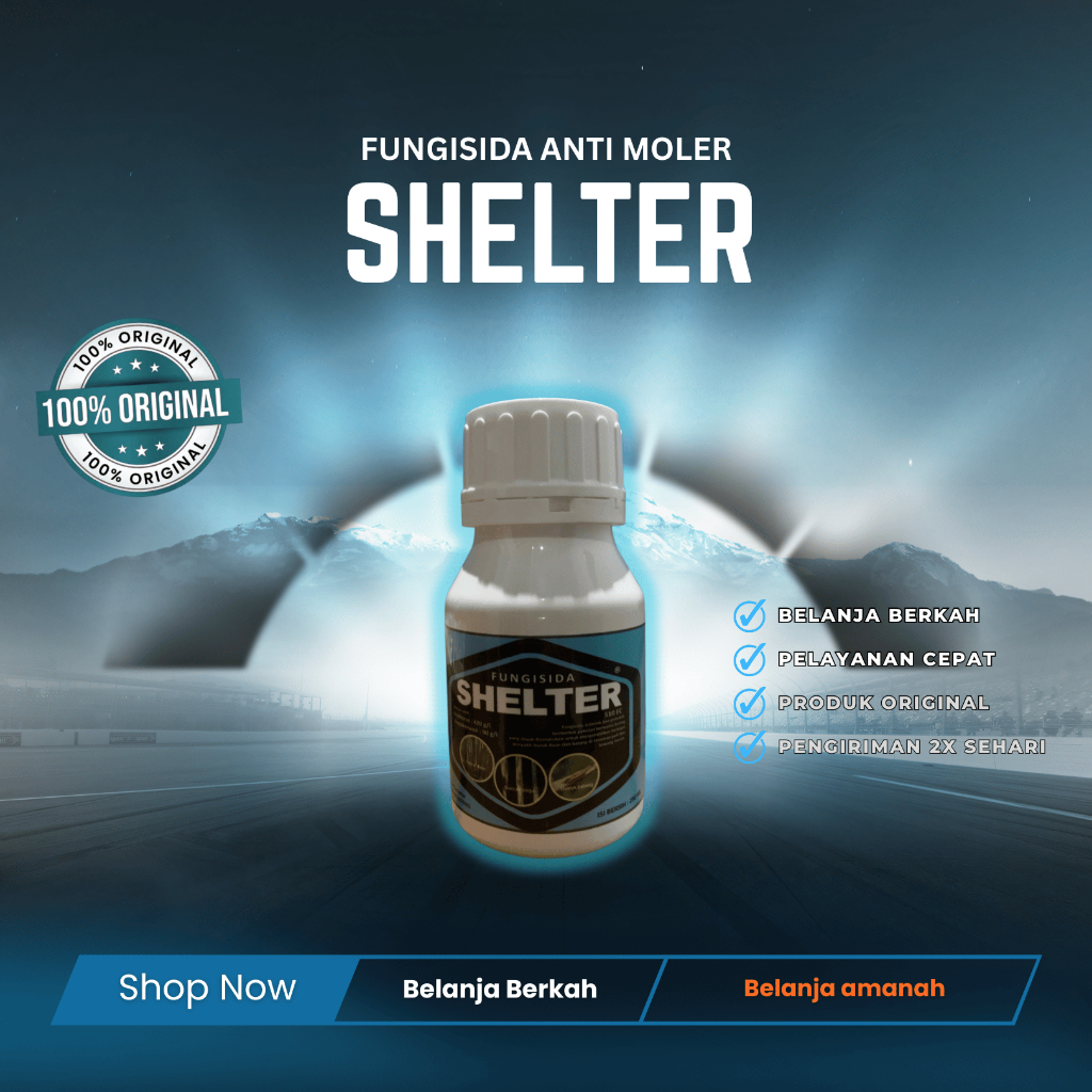 Shelter Fungisida 250 ml untuk mengendalikan moler bawang merah pengganti remazole