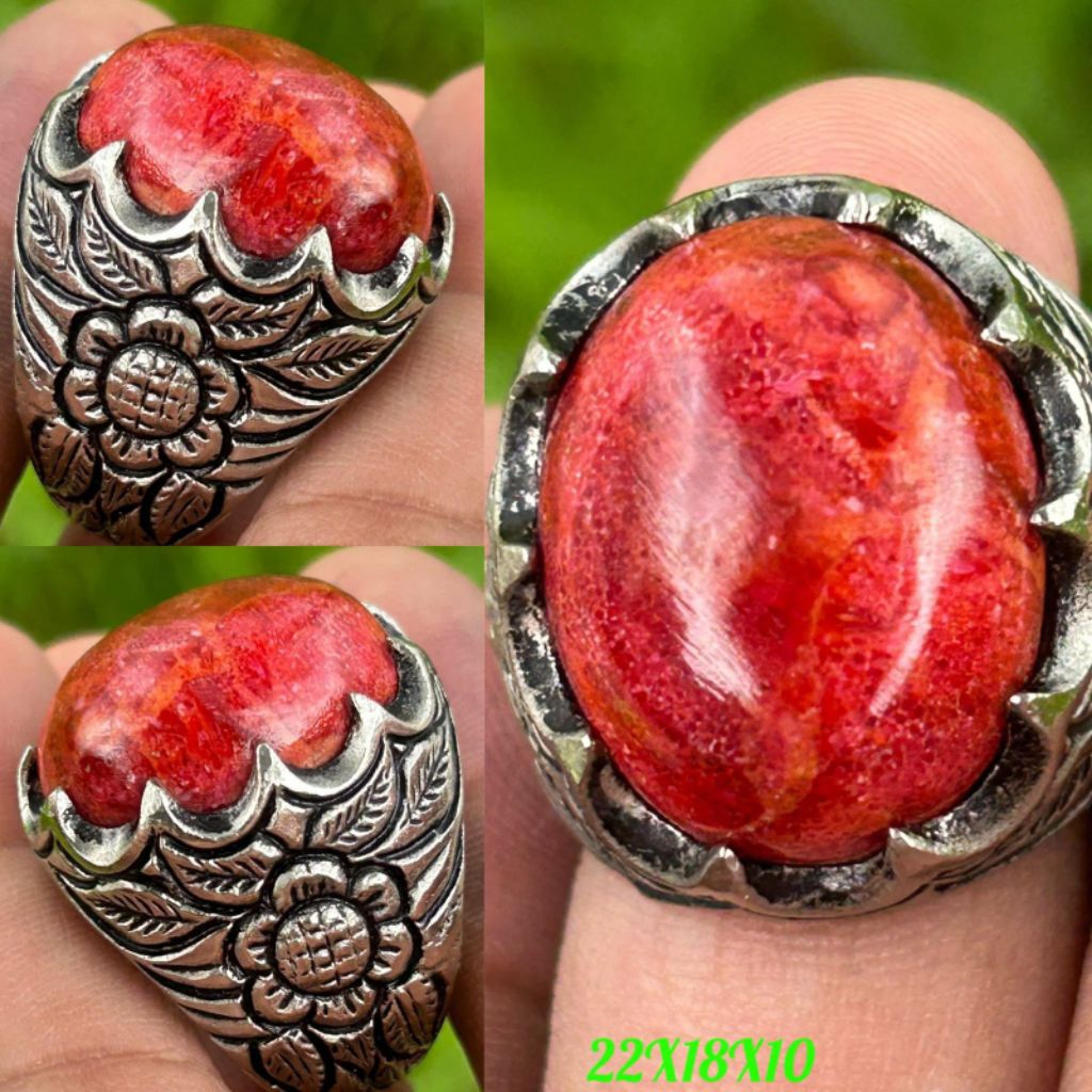 RED CORAL MARJAN