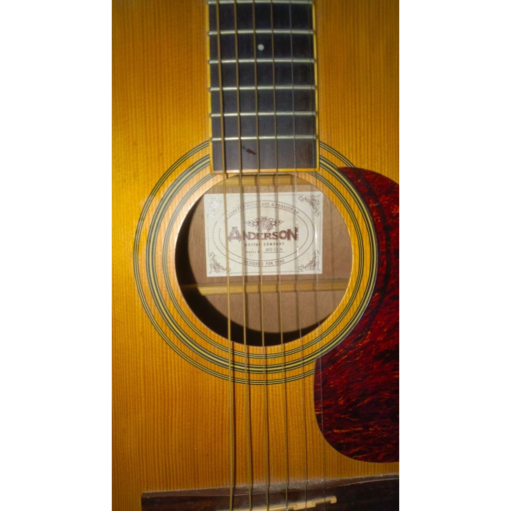 Gitar Anderson AFE 12 N akustik-elektrik + Gigbag