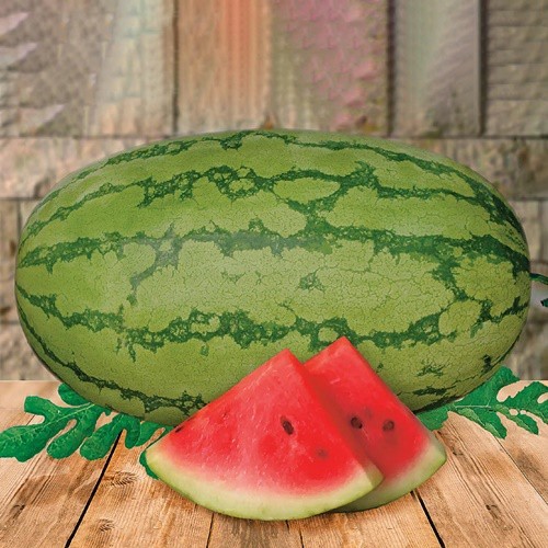 2 Biji Benih Semangka DIVA F1