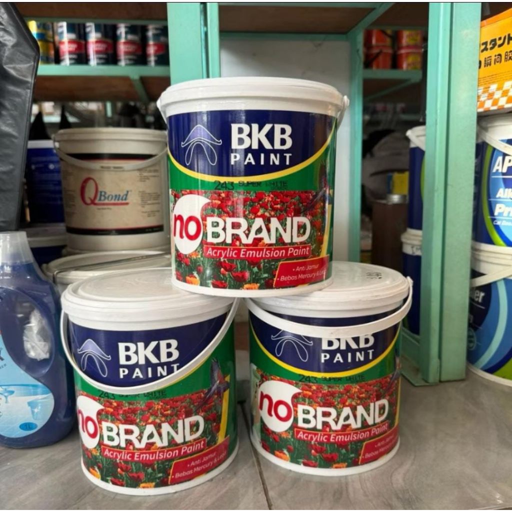 Cat Tembok BKB PAINT