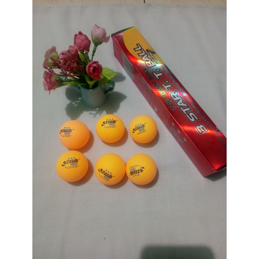 bola pingpong DHS bintang 3