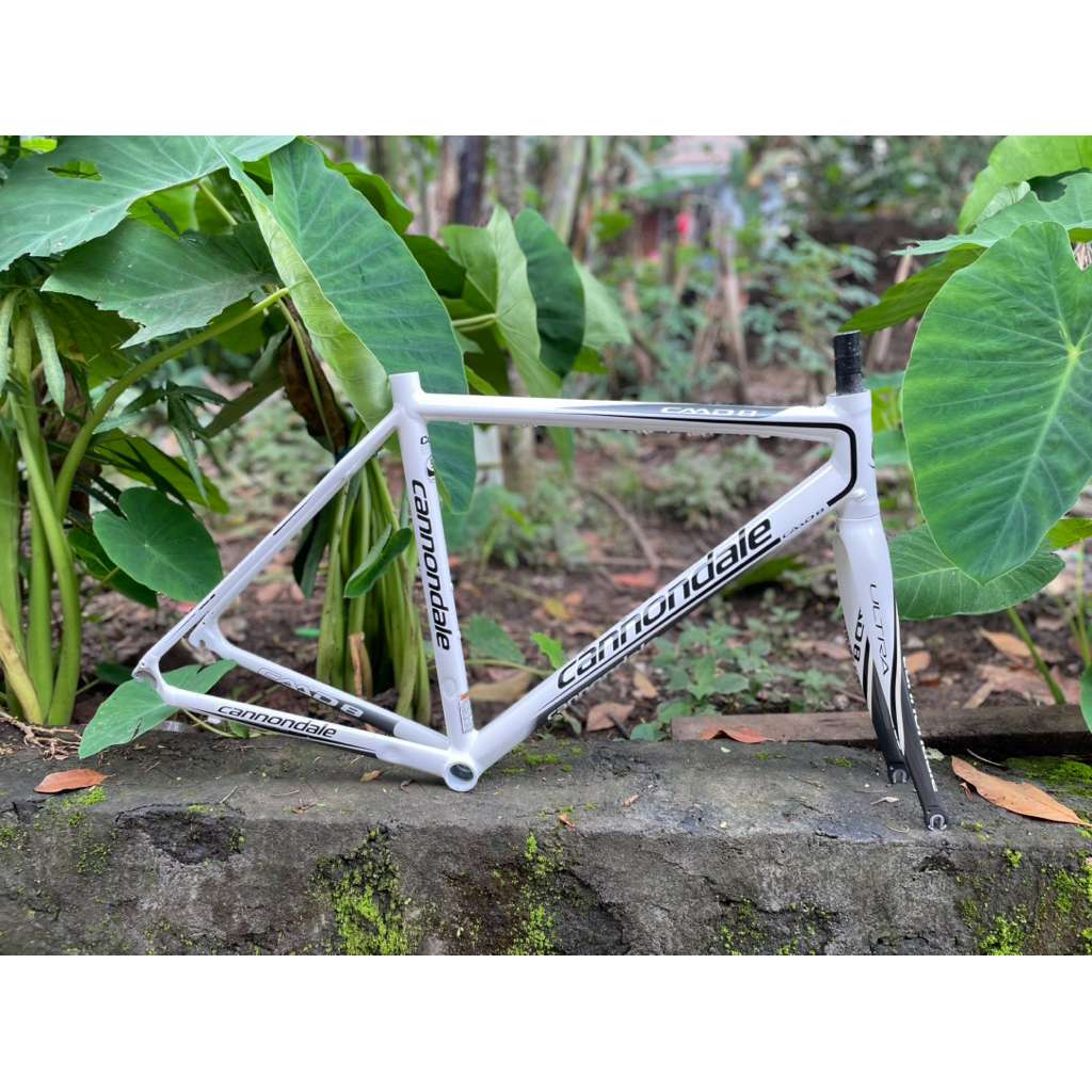 FRAMESET CANNONDALE CAAD 8 SIZE 51