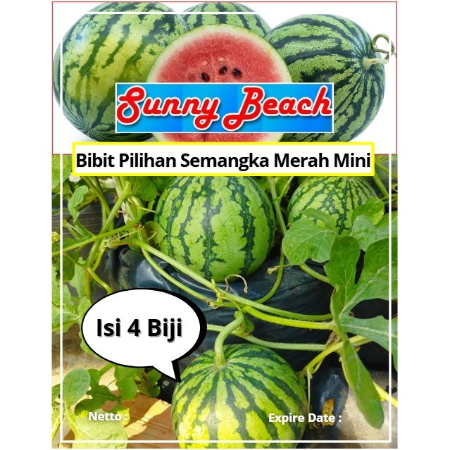 Bibit Pilihan Semangka Merah Mini | Biji Benih Semangka Merah Mini | Semangka Mini