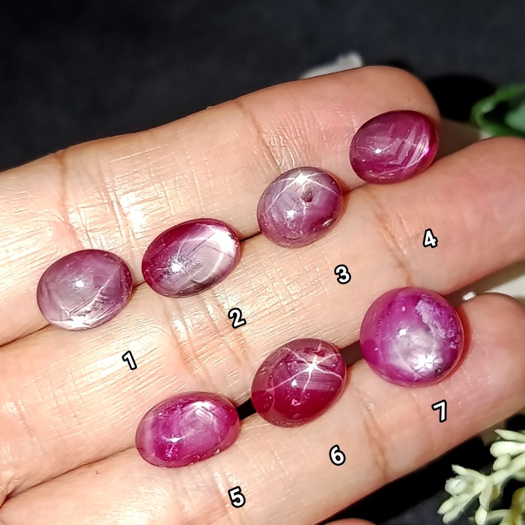 Natural Red Ruby Star Cutting Oval Polos (B) / Merah Rubi Star Asli