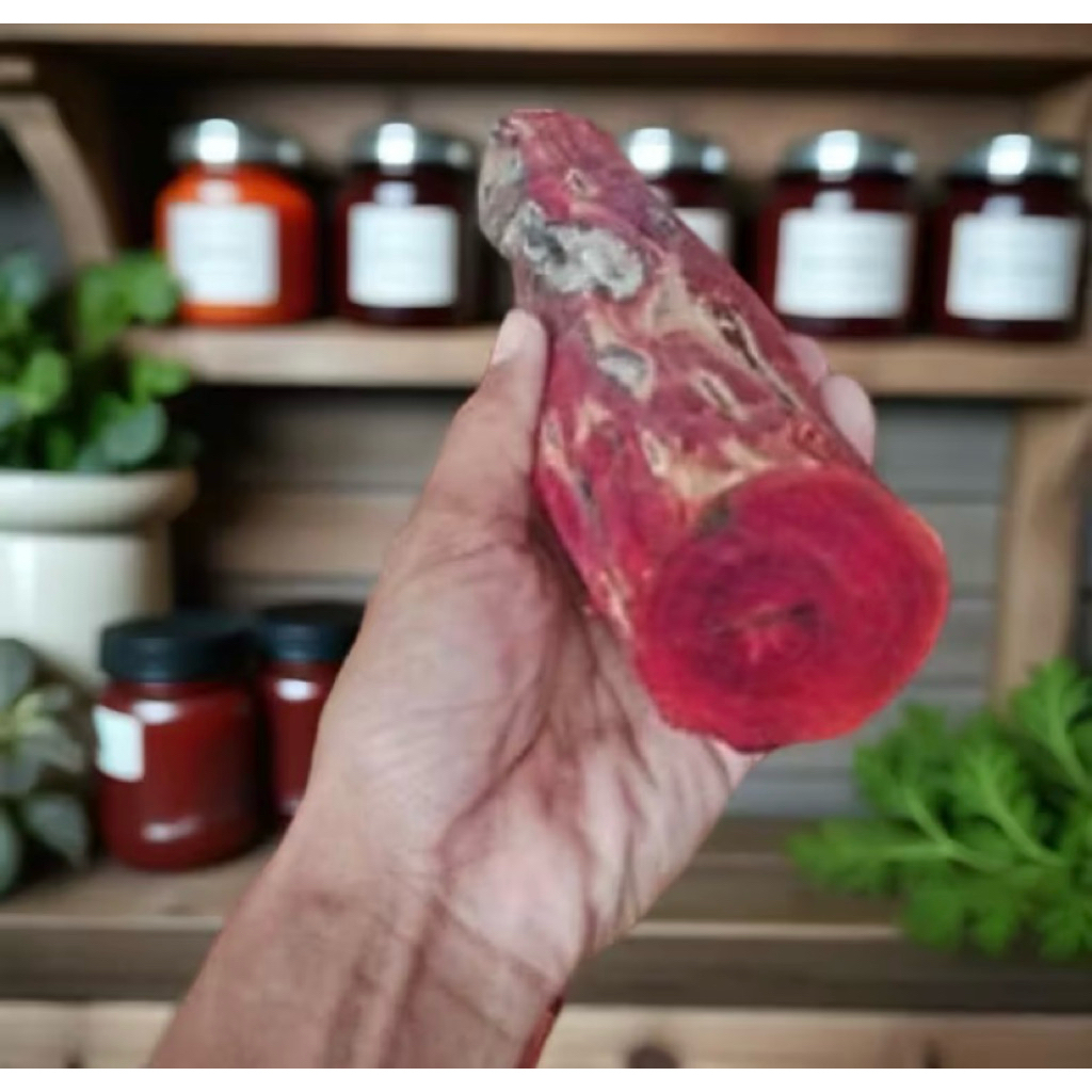 KAYU SECANG GELONDONGAN SEGAR GLONDONGAN 1KG/20CM MERAH SUPER PREMIUM