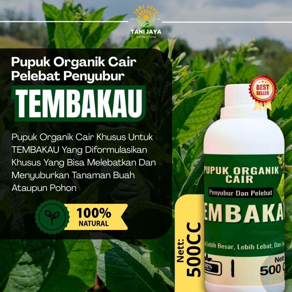 Pupuk Khusus Tembako Penyubur & Pelebar Daun Pupuk Daun dan Batang Pupuk Tembako Cepat Subur