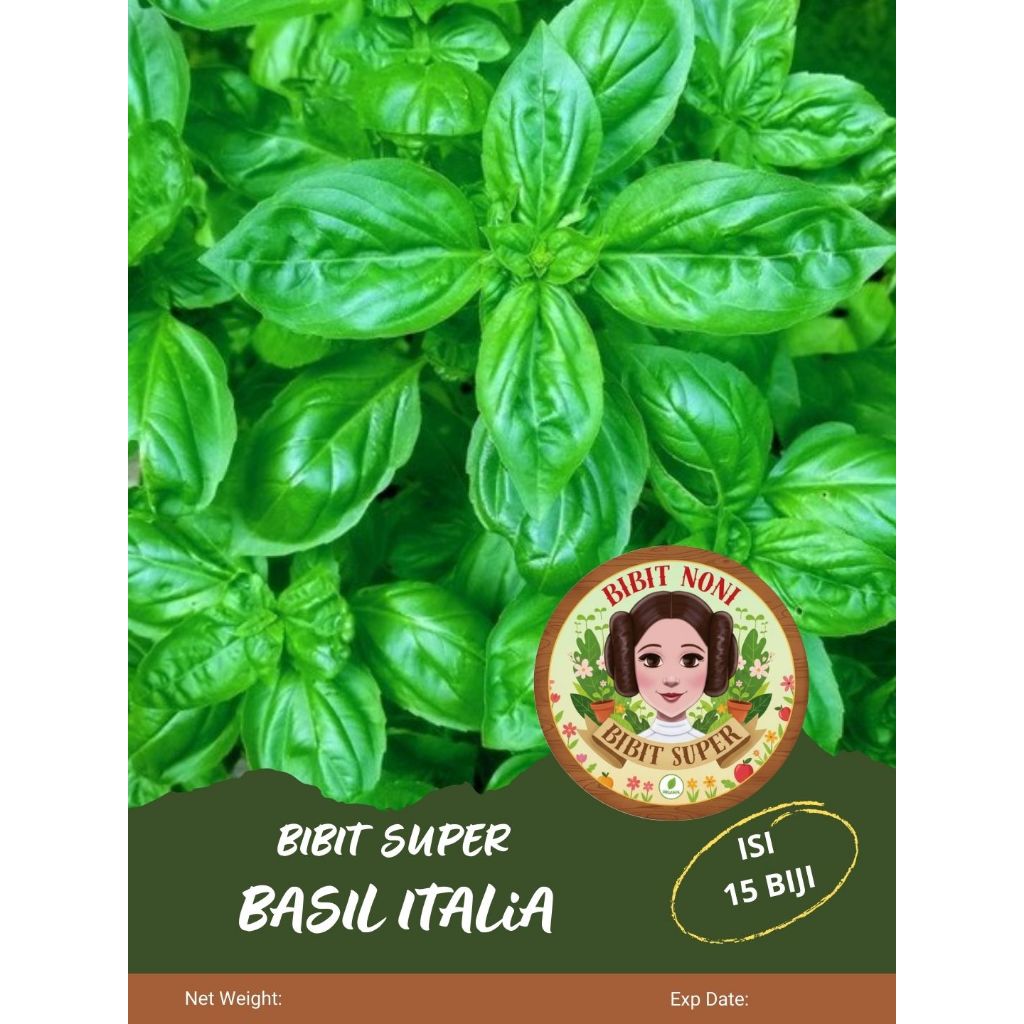 Bibit Super Basil Italia | Biji Benih Basil Manis Italia