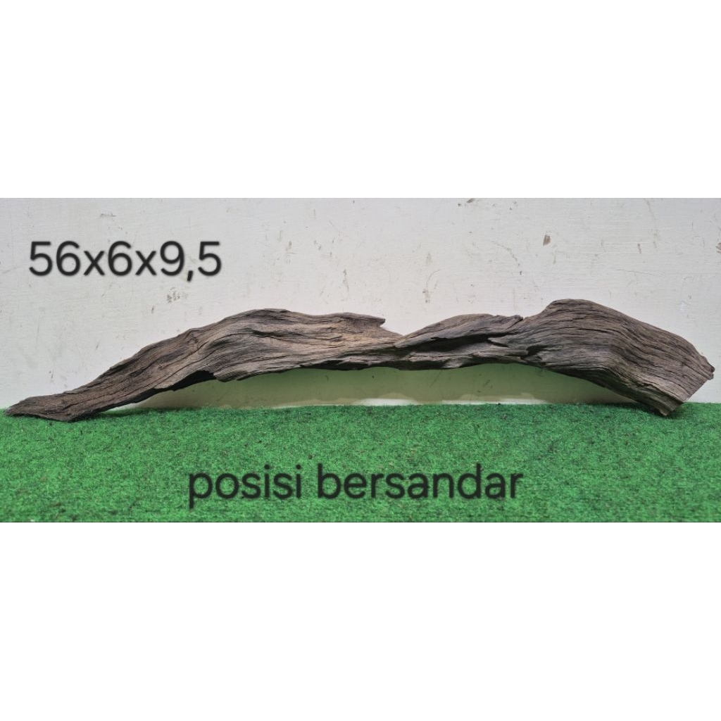 Kayu Santigi Laut 56cm Kayu Tenggelam Aquascape Aquarium Taman 56x6x9,5 D3