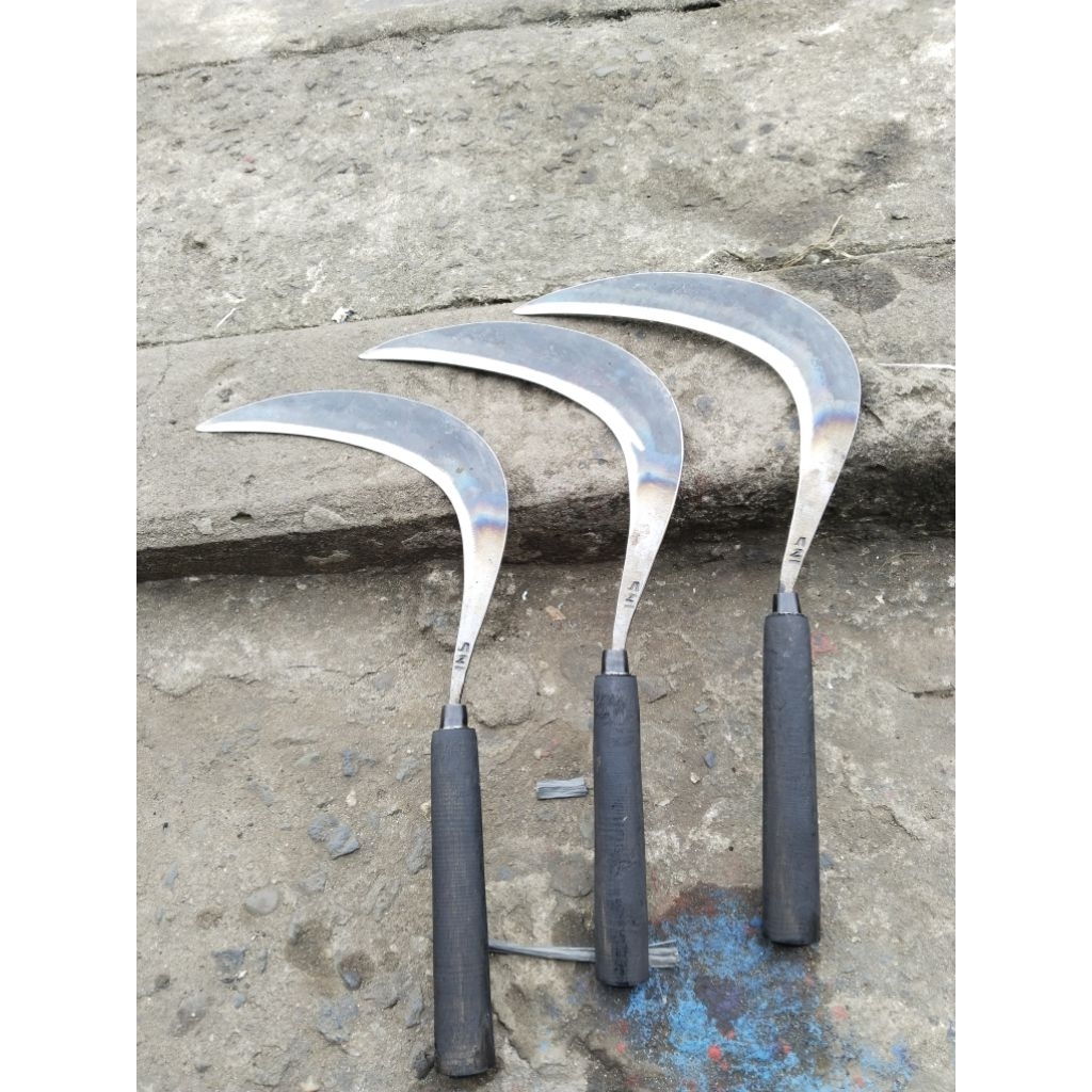 aret rumput baje per mobil