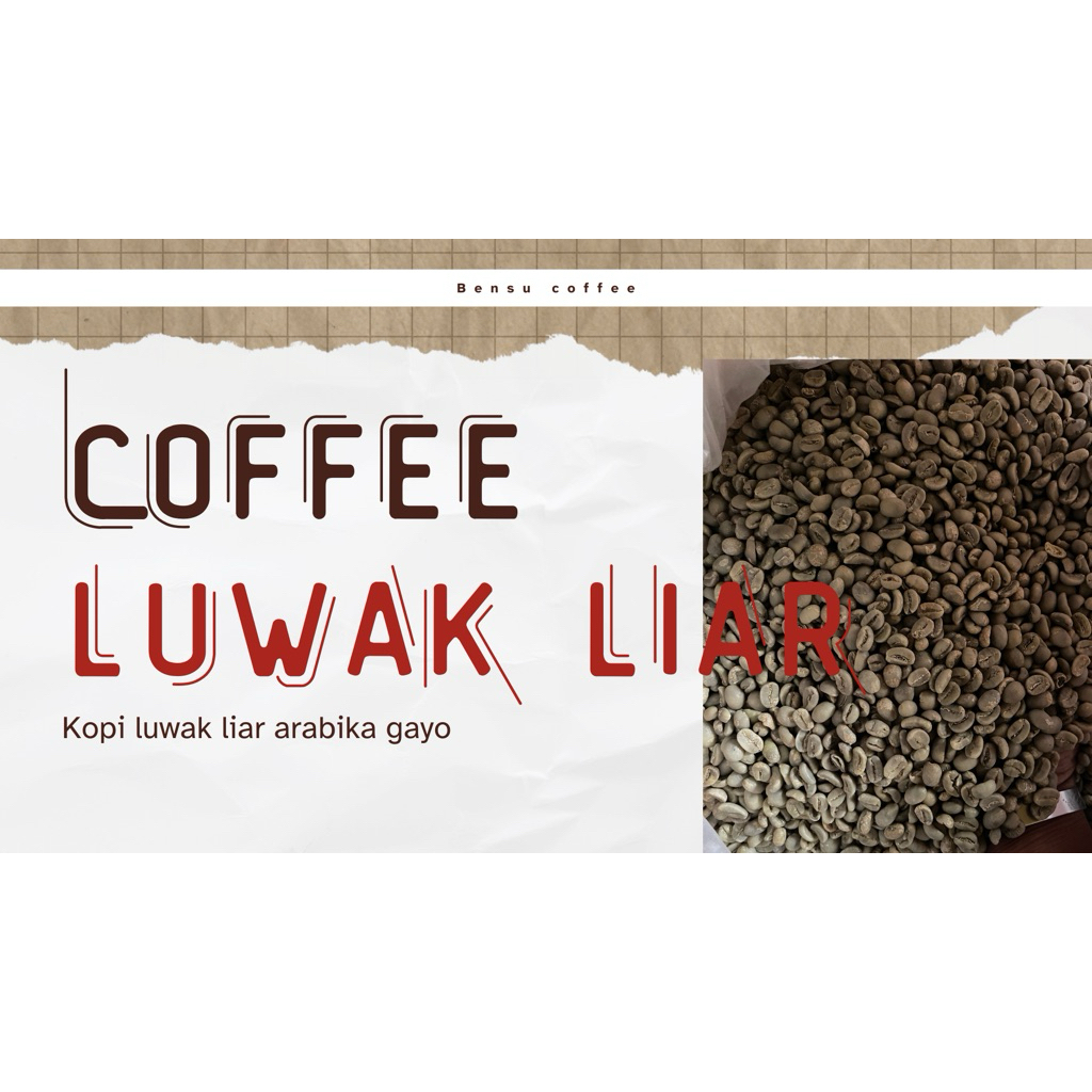 [GREEN BEAN] luwak liar arabika gayo aceh-G1 berat: 1000g/1kg