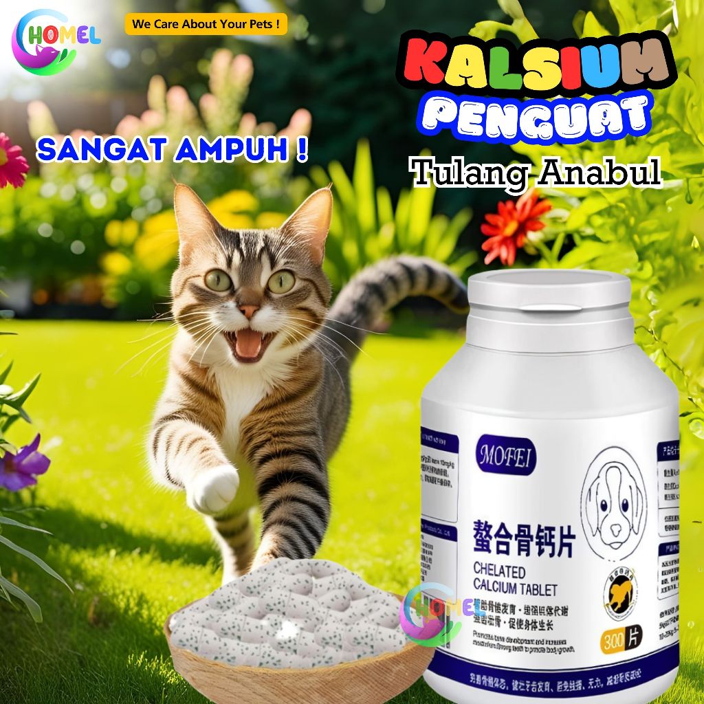 Kalsium Tulang Tablet Untuk Kucing Anjing Suplemen Calcium Atasi Kelumpuhan Lemas Lesu CHOMEL
