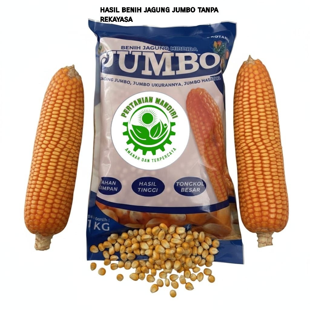 Benih jagung hibrida Jumbo kemasan 1kg