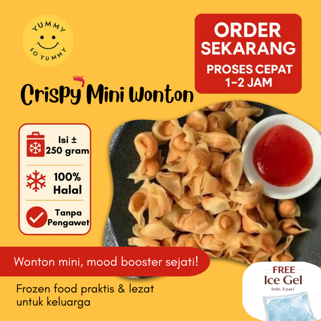 Premium Crispy Mini Wonton Frozen
