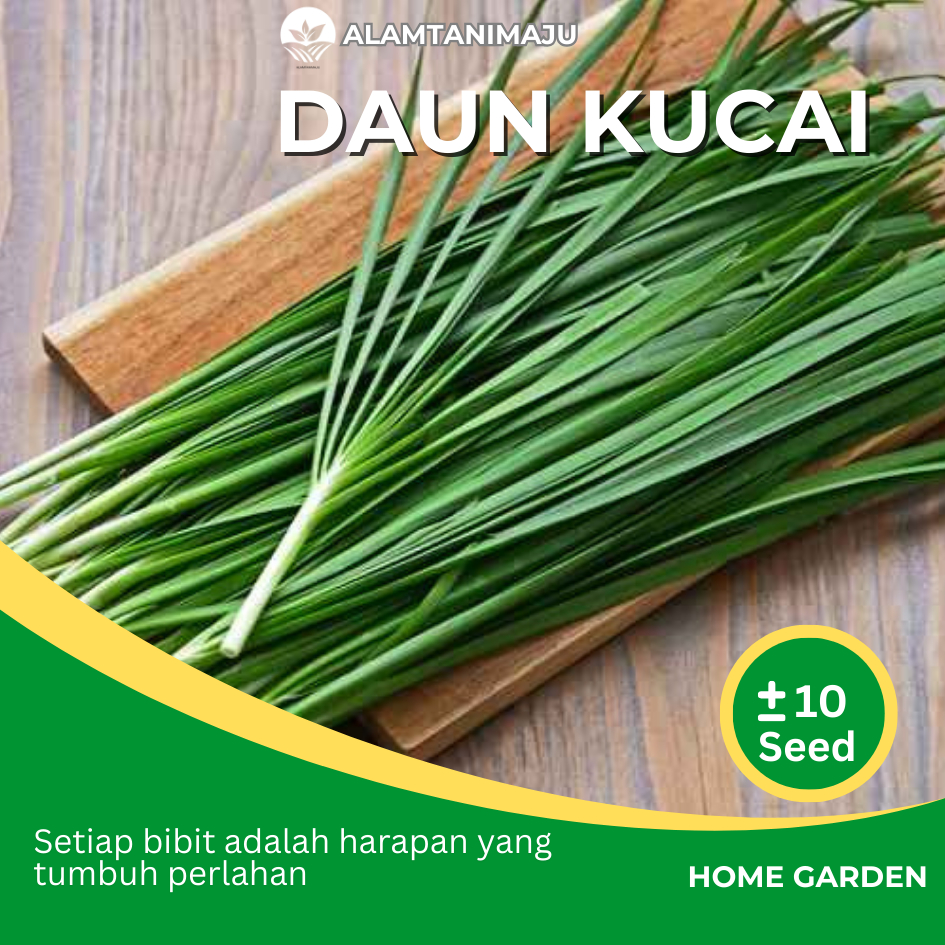 Alamtani - Benih Daun Bawang Kucai Biji Bibit Tanaman Sayuran Daun Kucai Unggul Berkualitas Isi ± 10
