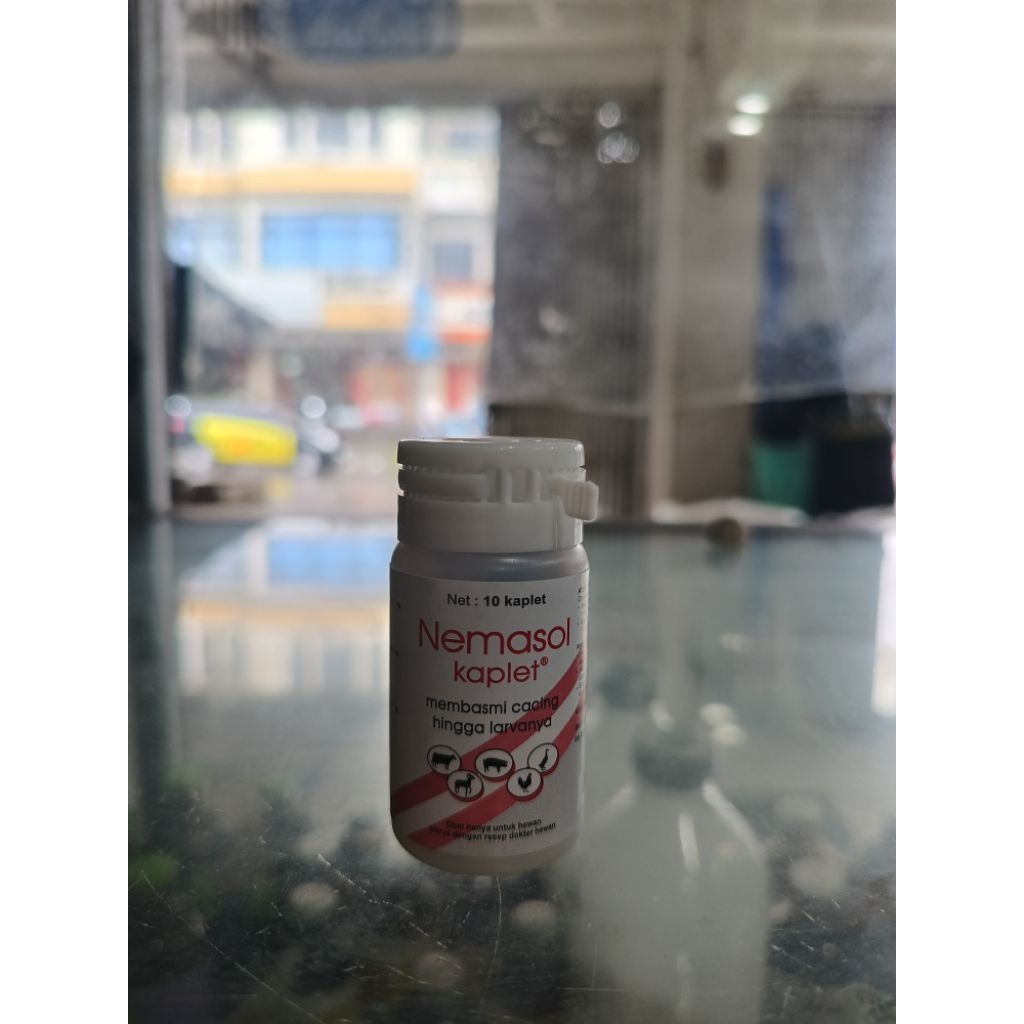 Obat Cacing Nemasol Kaplet