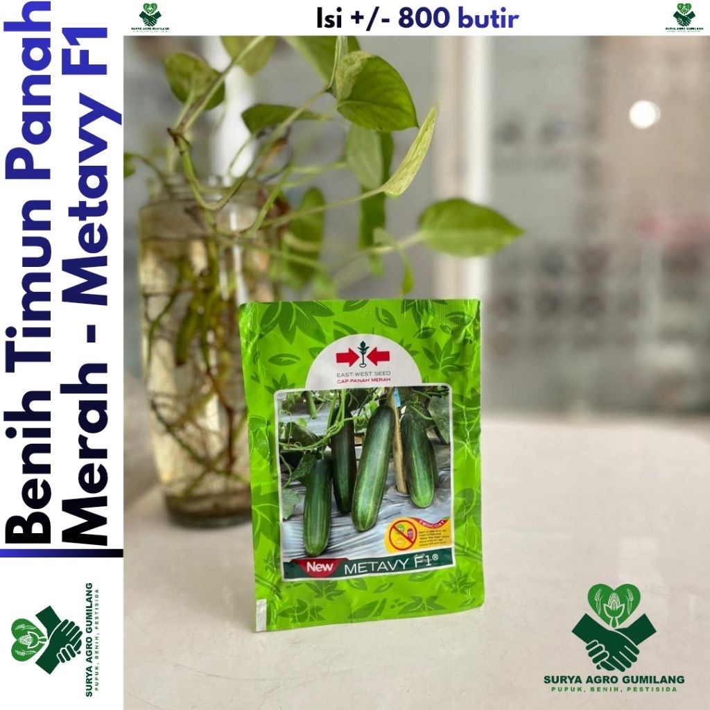 Benih Timun METAVY F1 | Benih Timun Panah Merah | Timun METAVY F1