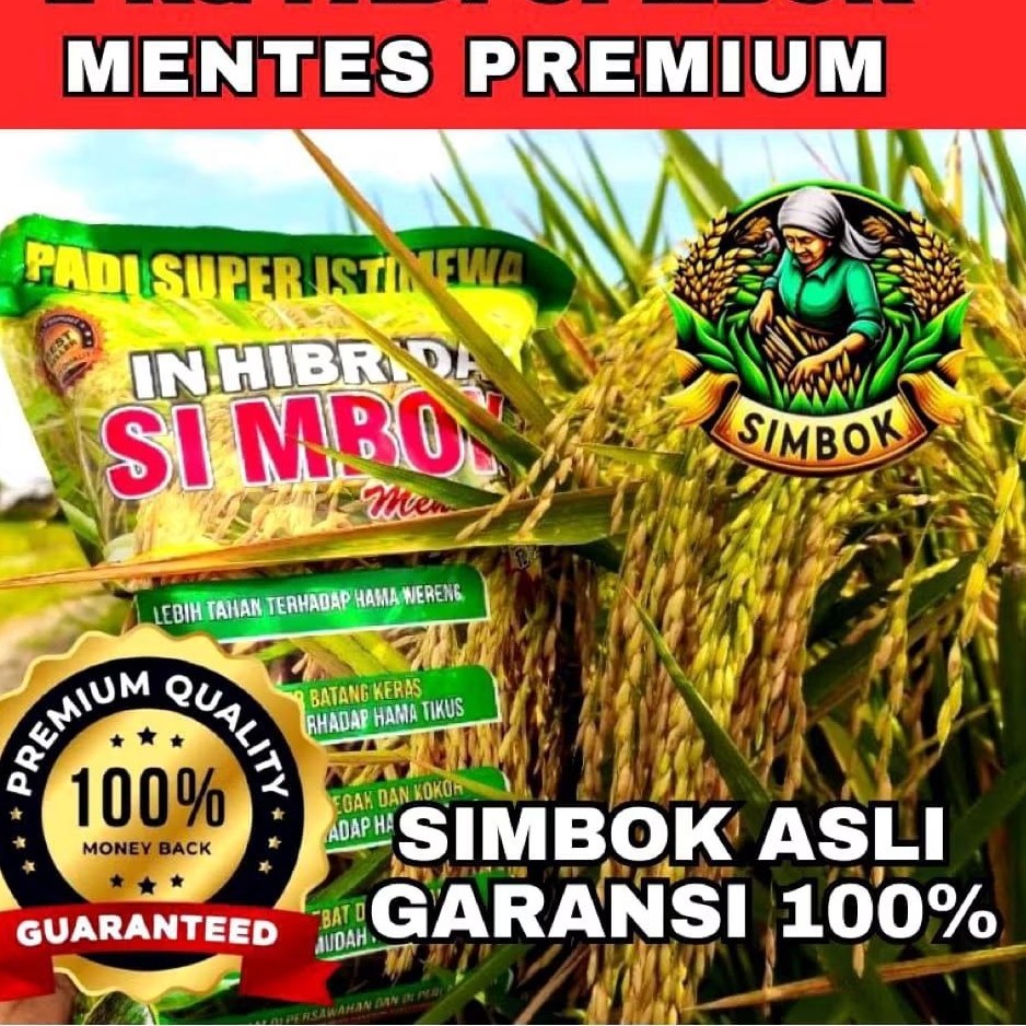 (5Kg) Bibit Benih Padi Inhibrida simbok berkualitas