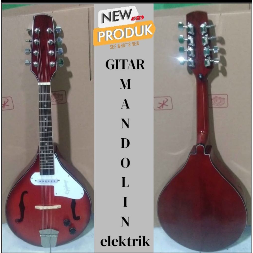 gitar akustik mandolin elektrik terlaris