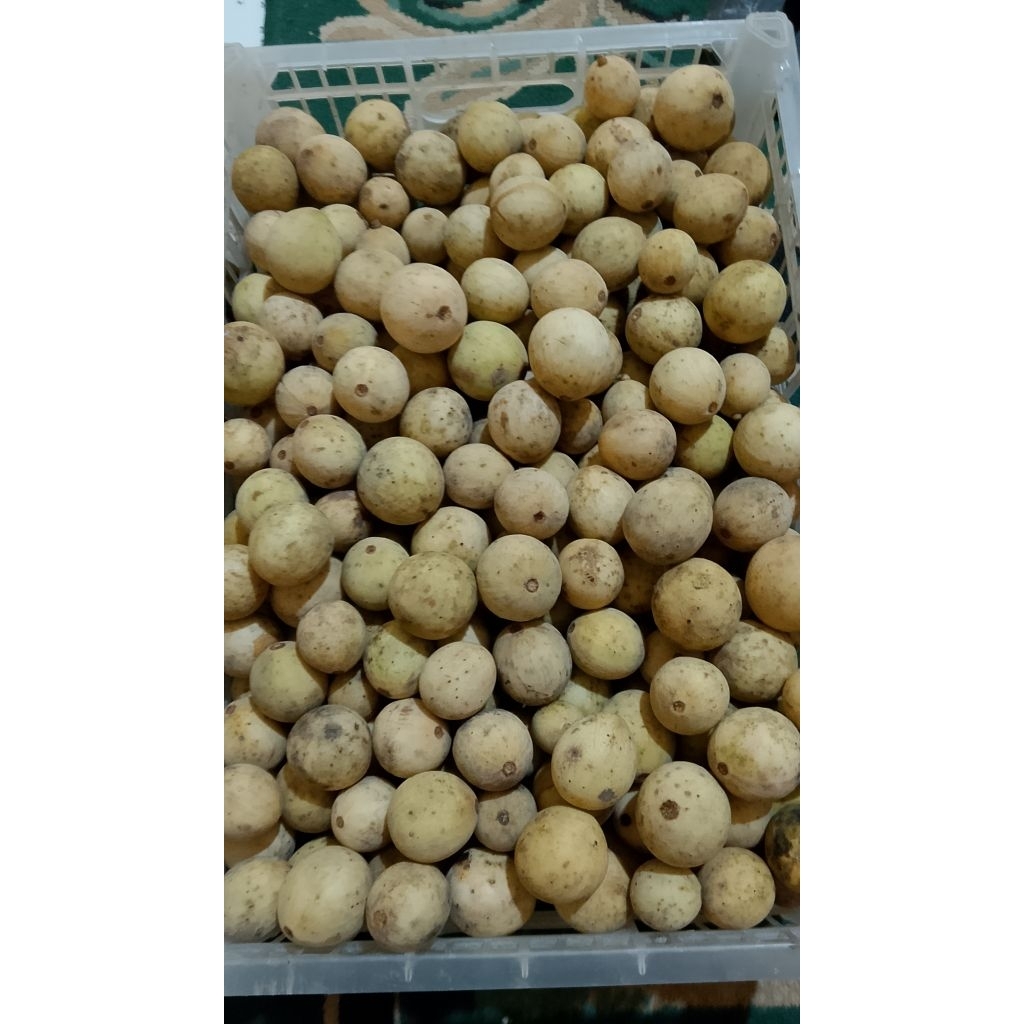 500g dukuh lokal manis