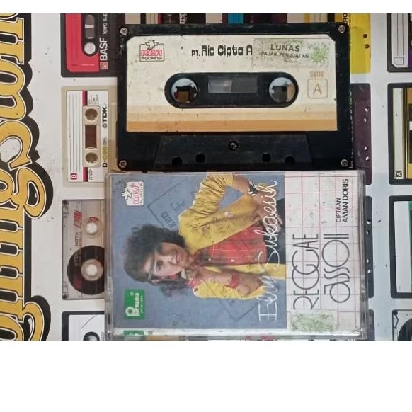 kaset pita elvy sukaesih reggae assoi