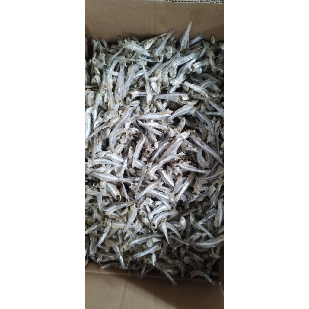 ikan teri jengki rebus (premium)