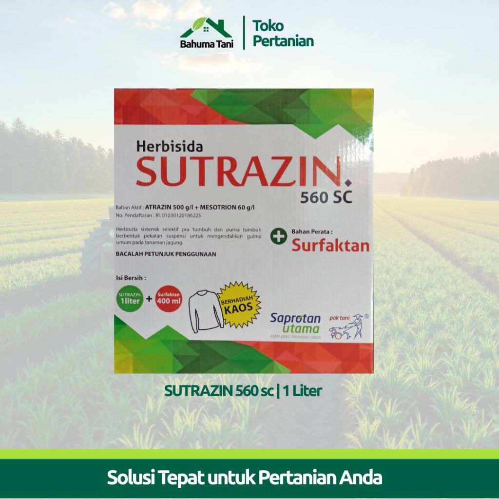 SUTRAZIN 560sc Herbisida Selektif Jagung + Perekat