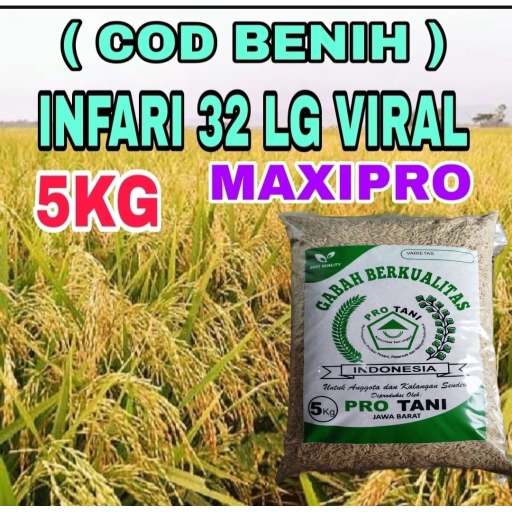 PAKET 10KG BENIH PADI VIRAL INPARI-32 MAXIPRO SUPER ORIGINAL LABEL PUTIH