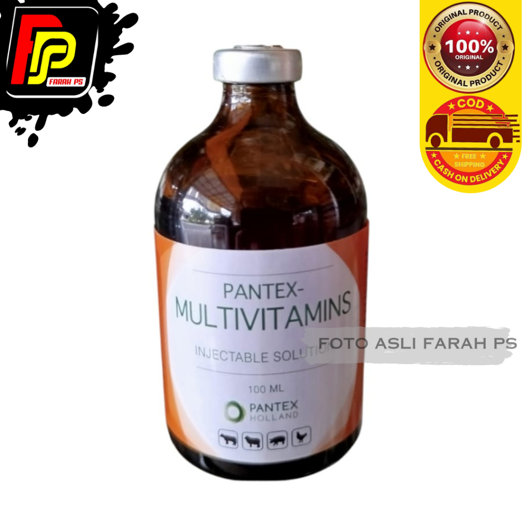 Pantex Multivitamins | Multivitamin | Nutrisi Tambahan 100ML | Kualitas Baik - Multivitamin Pantex H