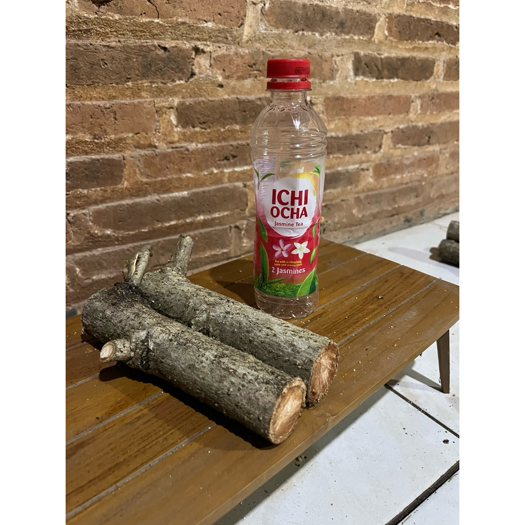 steak bibit waru India freshh