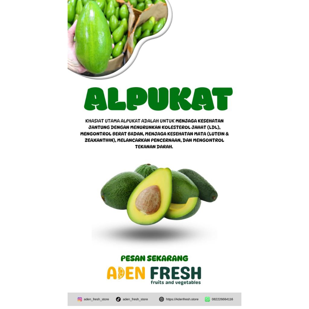Alpukat Mentega | Alpukat Segar