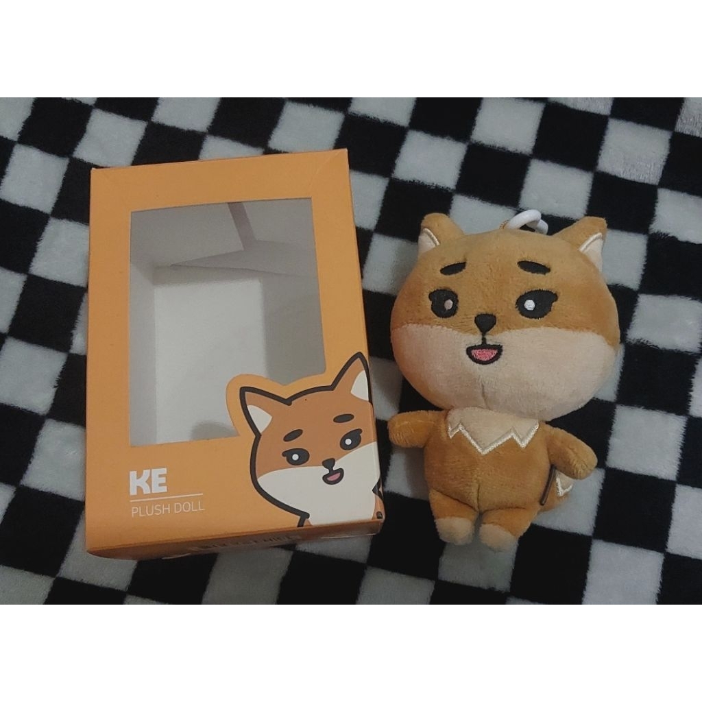 Denimalz Day6 Kke 2019 (booked)